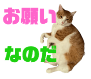 746383957