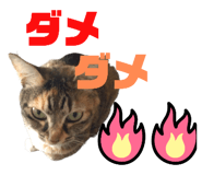 746383963