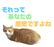 746383965