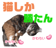 746383966