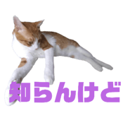 746383968
