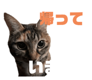 746383969