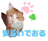 746383971