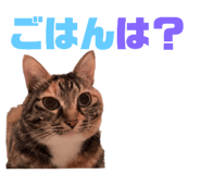 746383973