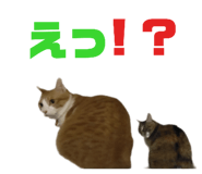 746383978