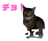 746383980