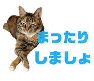746383981