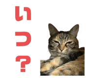 746383982