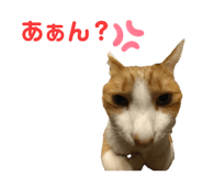 746383985