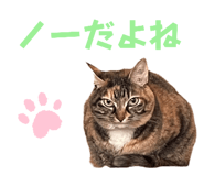 746383987
