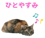 746383989