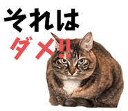 746383990