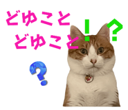 746383992