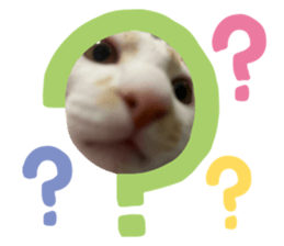 746387314