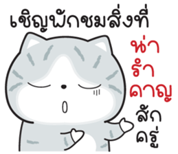 746390731