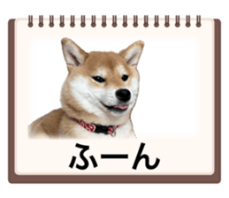 746390803