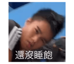 746391629