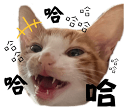 746397905