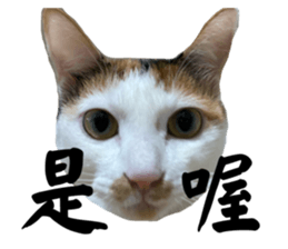 746397908