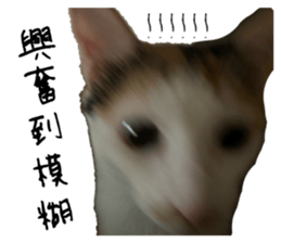 746397916