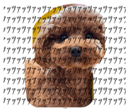 746406115
