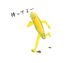 746425490