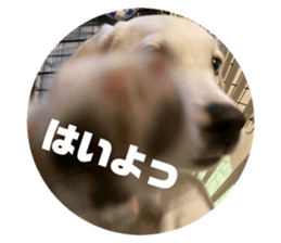 746428624