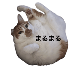 746475536