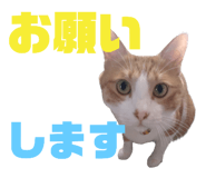 746493409