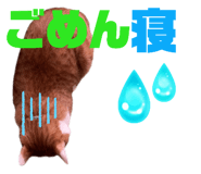 746493411