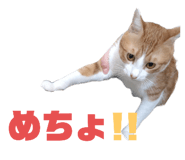 746493420