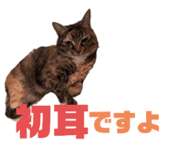 746493422