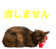 746493438