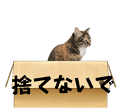 746493440