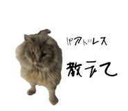 746496871
