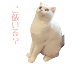 746502650