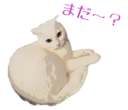 746502654