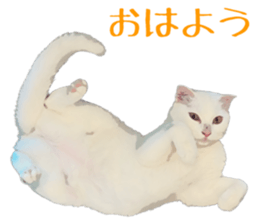 746502657
