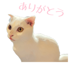 746502659
