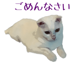 746502660