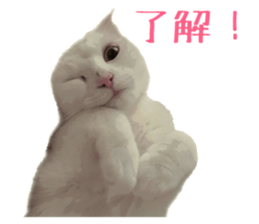 746502664
