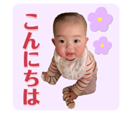 746513162
