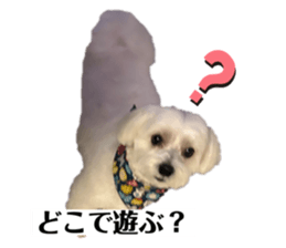 746513558