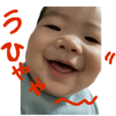 746516978