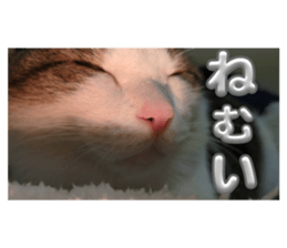 746518569