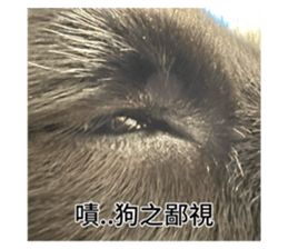 746521345