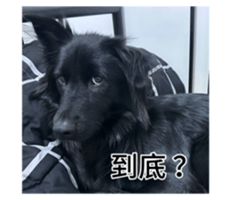746521346