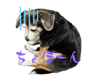 746522570