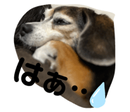 746522575