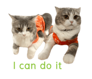 746523440